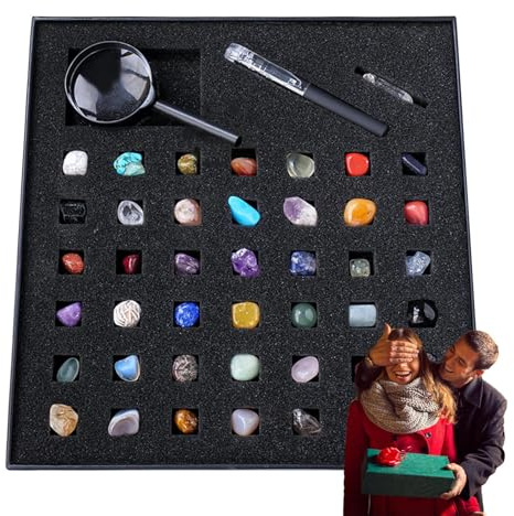 Kollektion von Felsen und Mineralien - Set mit 26,5 x 25,5 x 3,8 cm