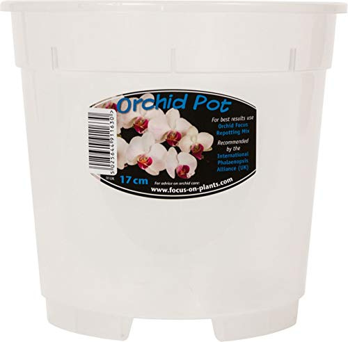 2XClear Orchid Pot 17cm
