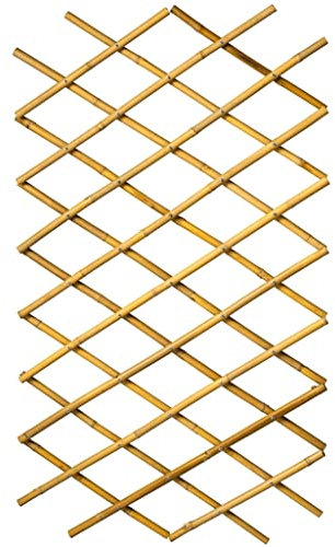 Outdoor Living 6040722 Treillis de jardin en bambou 100 x 200 cm