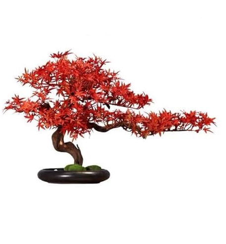 DFHS46JK Planta Artificial Simulación de Planta de Hoja de Arce Rojo Bonsai Mueble de TV for Sala de Estar Entrada Paisajismo Adornos Decorativos Bonsai Artificial Planta en Maceta