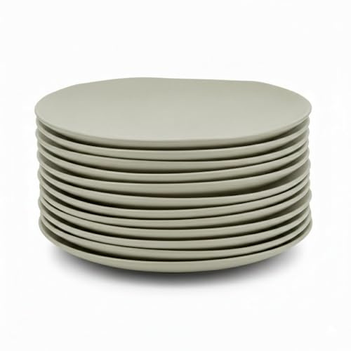 CASASELECCION Juego de 12 platos llanos de melamina en color verde. Resistentes y ligeros, ideales para uso diario. Diámetro 28 cm. Apto para lavavajillas. No apto para microondas.