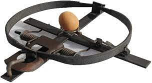 piège à Oeuf Contre Les fouines Fabrication Française