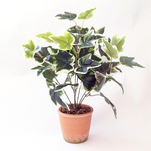 Artificial English Ivy Plant in Pot, Decorative Faux Greenery (Variegated)