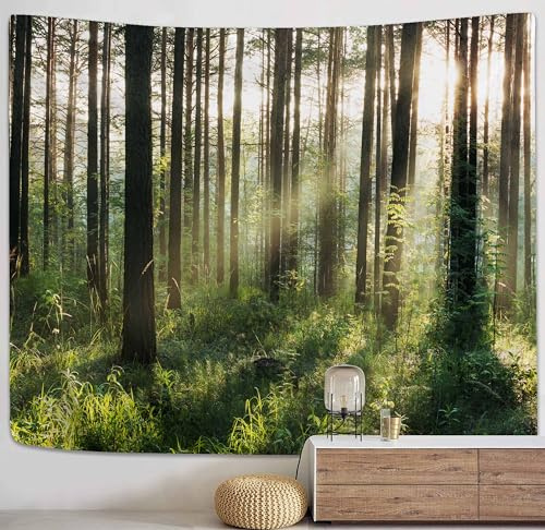 PROCIDA Forest Tree Tapestry Wall Hanging Nature Tapestry Forest Backdrop for Bedroom Living Room College Dorm Aesthetic Decoration, 90 W x 71 H, Sunlight Forest