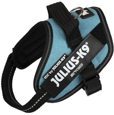 IDC Powerseleness, storlek: Mini-Mini/XS, turkos