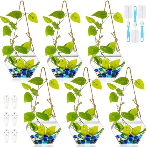 Sunnychicc 6 Stück Wandbehang Pflanzgefäß Glas Pflanzgefäß Wasserterrarium Glasbehälter Wandvasen für Blumen Luft Hydrokultur Pflanzen Anzucht Glas Pflanzenhalter Zuhause Zimmer Fenster Büro (Hexagon)