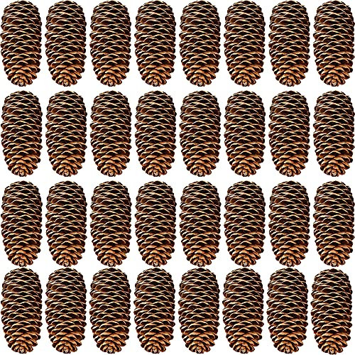 Rcanedny Lot de 30 Grandes Pommes de pin Naturelles pour décoration de fête de Noël, Loisirs créatifs, décoration d'intérieur (8 à 10 cm)