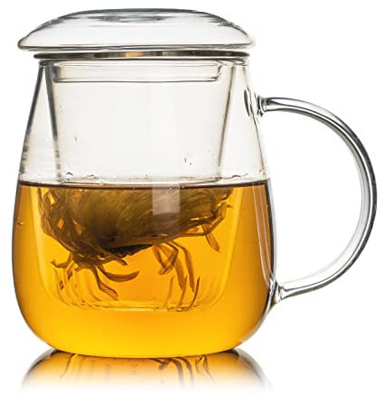DOSYEN Glass Tea Cup with Infuser and Lid, 16.94 OZ Borosilicate Glass Mug, Durable Heat Resistant Suitable for Tea, Beverages, Ice Coffee