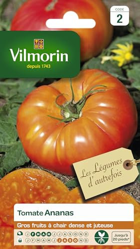 VILMORIN Tomate Ananas Vilmorin série 2 légumes d'autrefois