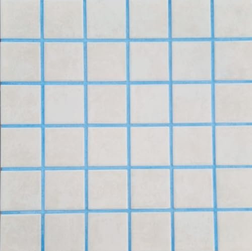 Fugenmörtel-Farben | Einsetzbar für Fugen im Innen- und Außenbereich auf Wand- und Bodenflächen (Himmelblau, 1kg)