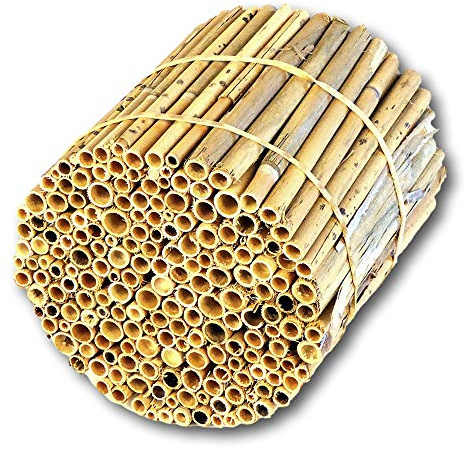 BeeCasa Schilfrohrhalme - Niströhren MEDIUM | Natur Nisthülsen | 16 cm