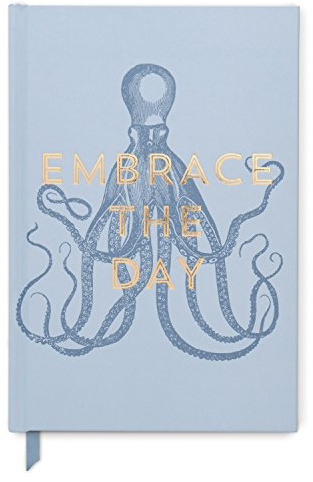 Designworks Ink Vintage Sass Embrace The Day Hardcover Journal, Notitzbuch in der Farbe Hellblau, 240 Seiten liniert, mit den Maßen 14,6 x 21,6 cm, JB86-1098EU