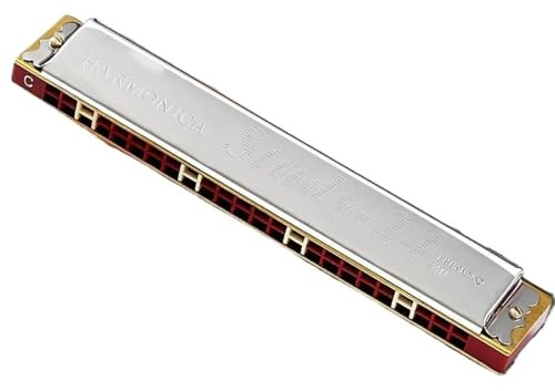 Professional Mundharmonika 24-Loch-Mundharmonika Tremolo Mundharmonika Mit Koffer Musikinstrument, C(Silver)