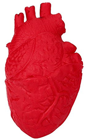 Anatomisches Herz Stressball, Realistisches Rotes Silikon Medizinisches Organmodell, 15x8x8cm, Lernspielzeug für Bildung und Stressabbau