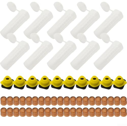 Bee Queen Kit, Juego completo de jaula de crianza, equipo de apicultura para sistema de cría de abejas Queen