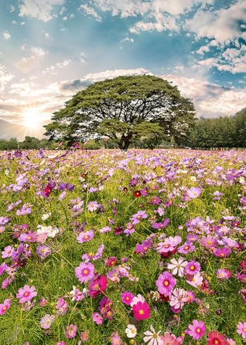 STYLER Glasbild Meadow 50 x 70 cm I Naturmotiv Blumenwiese Baum Sonnenlicht I Modernes Wandbild auf Glas I Hochglanz Wanddeko Wohnzimmer Schlafzimmer