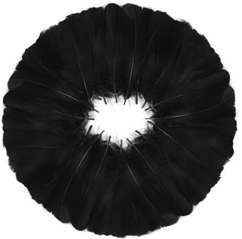 MWOOT 600 Stück Schwarz Federn zum Basteln, 8-12CM Klein Bastelfedern für Traumfänger Faschingskostüme Halloween Masken Ostereier Dekoration Basteln, DIY Crafts Art Feather