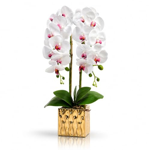 PASCH® XXL Orchideen künstlich in goldenem Keramiktopf (65cm) | Kunstblumen im Topf | Kunstblumen wie echt | künstliche Orchideen im Topf | künstliche Blumen im Topf (Weiß-Gold)