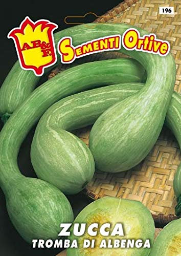 Italsementi Zucca Tromba di Albenga