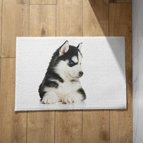 EHOMERY rutschfeste Fußmatte Außen V.I.P Türmatte Heiser Dünne Schmutzfangmatte Innen Ultradünne Fussmatte Innen 50x80cm, rutschfeste Dekorative Fußmatte Aus Plüschbaumwolle