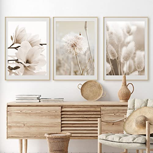 Lot de 3 posters muraux, beiges, modernes, style bohème, herbe de la pampa - Pour salon - Nature - Vintage - Sans cadre (style B, 40 x 50 cm)