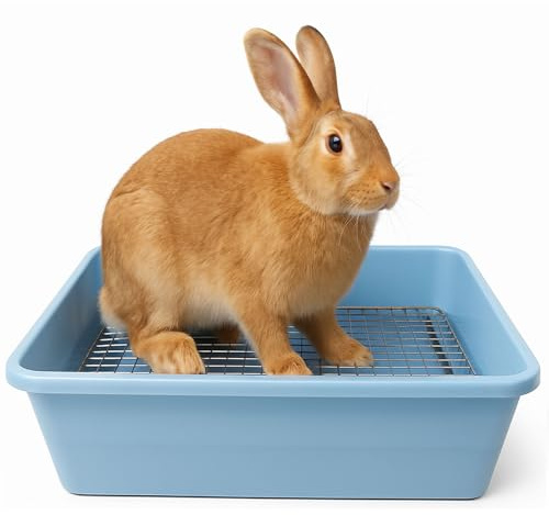 Oncpcare Deep Extra Large Rabbit Litter Box with Metal Grate – Easy to Clean XL Jumbo Bunny Potty Trainer, Corner Toilet Pan for Adult Rabbit Flemish Giant Rabbits (19”x14”x5”, Blue)
