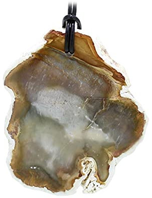budawi® - Fossiles Holz Anhänger Scheibe mit Lederband, Kettenanhänger für Damen, Herren und Unisex