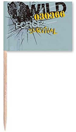 Graffiti Street Yellow Blue Leopard Pattern Toothpick Flags Marker Topper Party Decoration