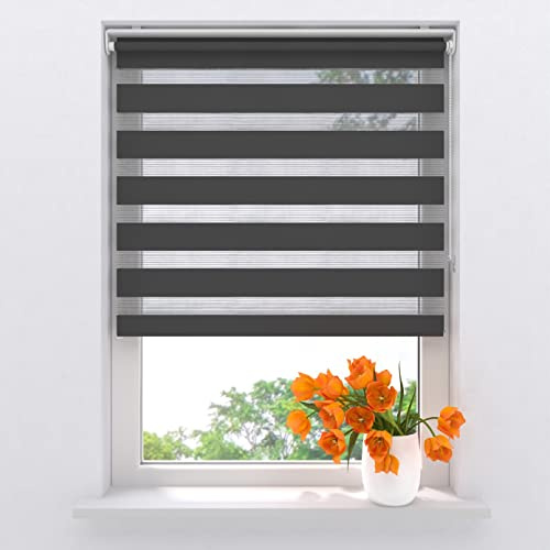 Radeco® Doppelrollo klemmfix ohne Bohren 70 x 150 cm (BxH) Grau lichtdurchlässig, fensterrollo innen ohne Bohren, rollos für Fenster, Rollo 70 cm breit, Duo Rollo, klemmrollo, klemmfix-doppelrollo