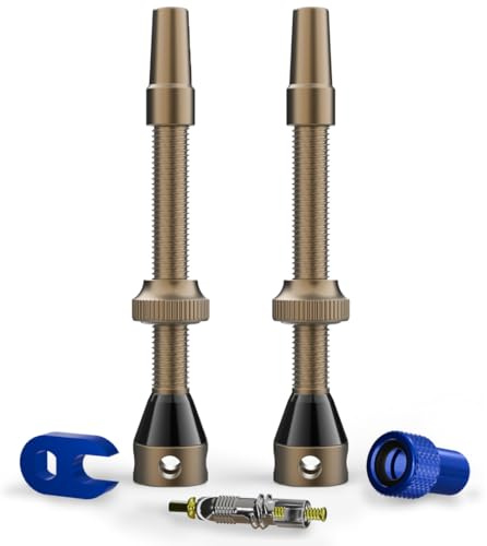 SHREDR. Kingpin Plus Tubeless Ventile Set | Presta Ventile für Schlauchlos-Reifen | französisches Ventil für MTB + Gravel | inkl. Ventil-Adapter, Ersatz-Ventil und Werkzeug. (Bronze, 60mm)