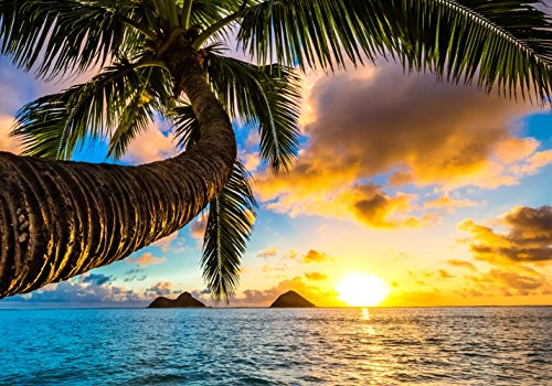 LYSCO XXL Poster 100 x 70cm (S-837) Palme am Strand im Sonnenuntergang (Lieferung gerollt!)