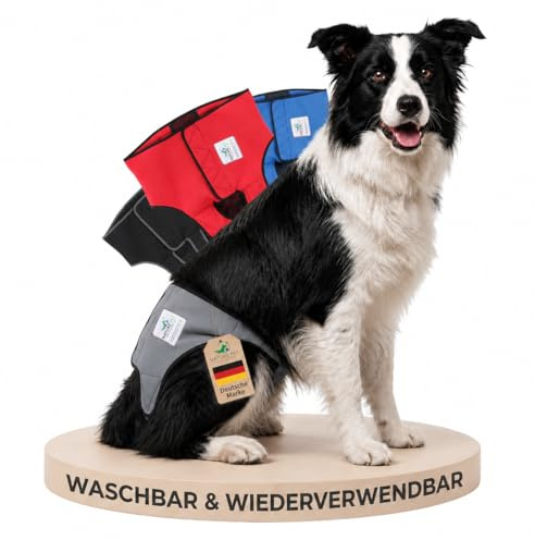 NATURE PET Premium Läufigkeitshose für Hündinnen – Hochwertige & Bequeme Hundewindeln für Hündinnen & Rüden – Waschbare Inkontinenz-Hundewindel ohne Einfädeln der Rute – M/Grau