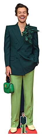 Harry Green Styles Pappaufsteller