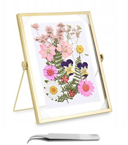 Luckwaii Glasbilderrahmen Glas Metall Fotorahmen Bilderrahmen Glas Beidseitig, Bilderrahmen Doppelglas 15x20cm Glasrahmen für Gepresste Blumen Pflanzenprobe Artwork Bild Display Halter