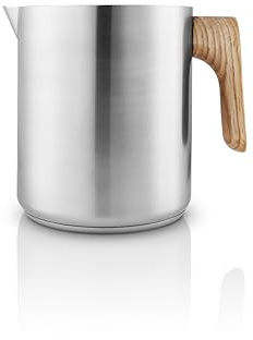 EVA SOLO | Nordic Kitchen Wasserkessel, Induktionsfähig 1,0 L | Blitzschnelles Kochen von Wasser per Induktion | Brushed Steel