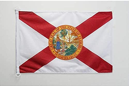 AZ FLAG Pavillon Floride 45x30 cm Maille Bloquée Anneaux Plastique