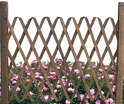 Youding Recinzione da Giardino Espandibile, Traliccio da Giardino in Legno Autoportante Pieghevole, Barriera per Piante Rampicanti Cortile Domestico Giardino Arredamento per Interni Ed Esterni