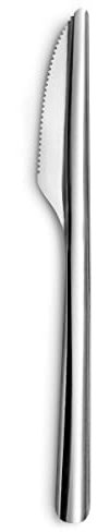 Amefa - 48 couteaux réutilisables et recyclables - Slim - Acier inoxydable 18/0, Finition Standard