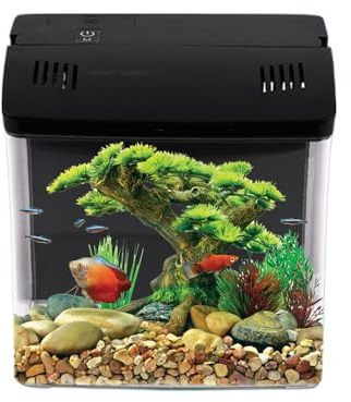 Acquario per Pesce Betta | Acquario Nano con Filtrazione Integrata | Decorazione Interni per Ufficio Soggiorno Tavolo | Habitat per Tartarughe Rane e