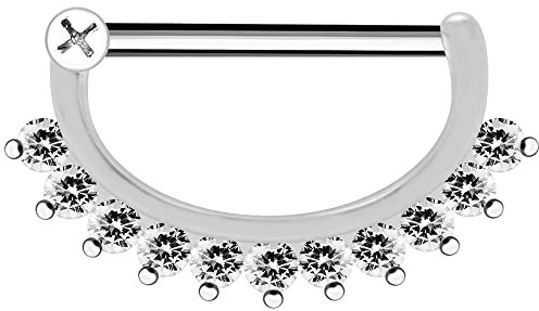 Monster Piercing Mikroeinstellung 11 CZ Steine ??Ovale Form 14 Gauge Chirurgenstahl Nippel Piercing Bar Schmuck