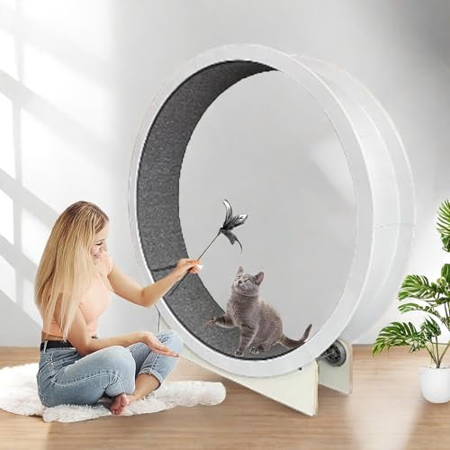 Cat Wheel Indoor Cat löpband, extra stort 47-tums träningshjul för katt med heltäckningsmatta, katter för att gå ner i vikt