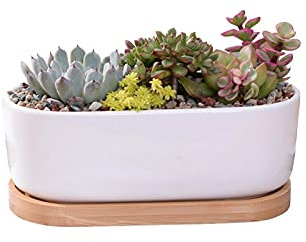 YUNHOME Pot De Fleur Cactus Pot Jardin Pot Plante Succulentes Minimaliste Blanc Céramique Succulent Plante Plante Plante Porcelaine Jardinière Maison Bureau Cadeau Cadeau De Noël