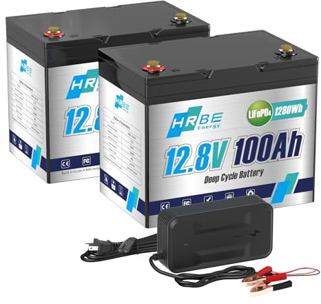 HRBEENERGY 12V 100AH LiFePO4 Batería 2Pack,BMS de Incorporado y Celdas de Grado A, batería Recargable de fosfato de Hierro y Litio de 12V,4000-15000 ciclos Profundos para solares, Motores de Arrastre