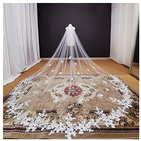 DZZTHSH Brautschleier, Kathedralschleier + Spitzenapplikationen, wunderschöne Hochzeitsaccessoires für die Braut, Langer Tüllschleier für die Hochzeit
