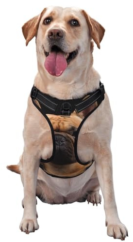 Französische Bulldogge auf Schwarz, Haustiergeschirr, Verstellbares reflektierendes Hundegeschirr, Haustierleinenweste,S