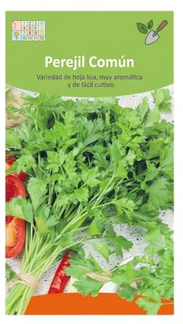 DECOALIVE Semillas de Perejil | Perejil para Cultivar en Maceta, Balcón o Jardín