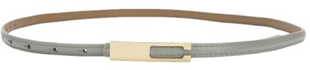 Gyios GüRtel Damen -dünngürtel Für Frauen Mit - Vielseitigem Modeaccessoire Kleider, Shorts Und Lässige Outfits Stilvoller Dekorativer Taillengürtel-hellgrau-115 cm*1 cm
