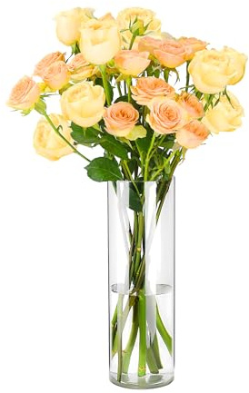Koelaa Vaso in Acrilico Trasparente - 20x30cm | Cilindrico Infrangibile e Anti-Graffio, Portafiori Moderno per Interni/Esterni per per Matrimonio, Casa e Centrotavola