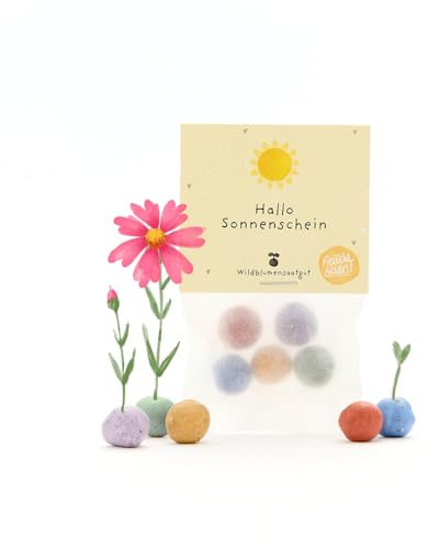 Nachhaltiges Mitbringsel: 5 bunte Blumenmurmeln | Farbenfrohe Seedbombs mit Wildblumensaatgut | Geschenk für Freunde, zur Aufmunterung, als Dankeschön & Sonnige Grüße | 100% ökologisch