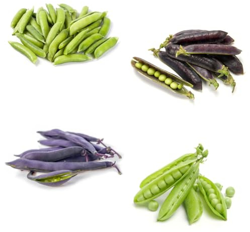 semillas de guisantes para de guisantes orgánicos exóticas resistentes de invierno, resistentes para 70pcs